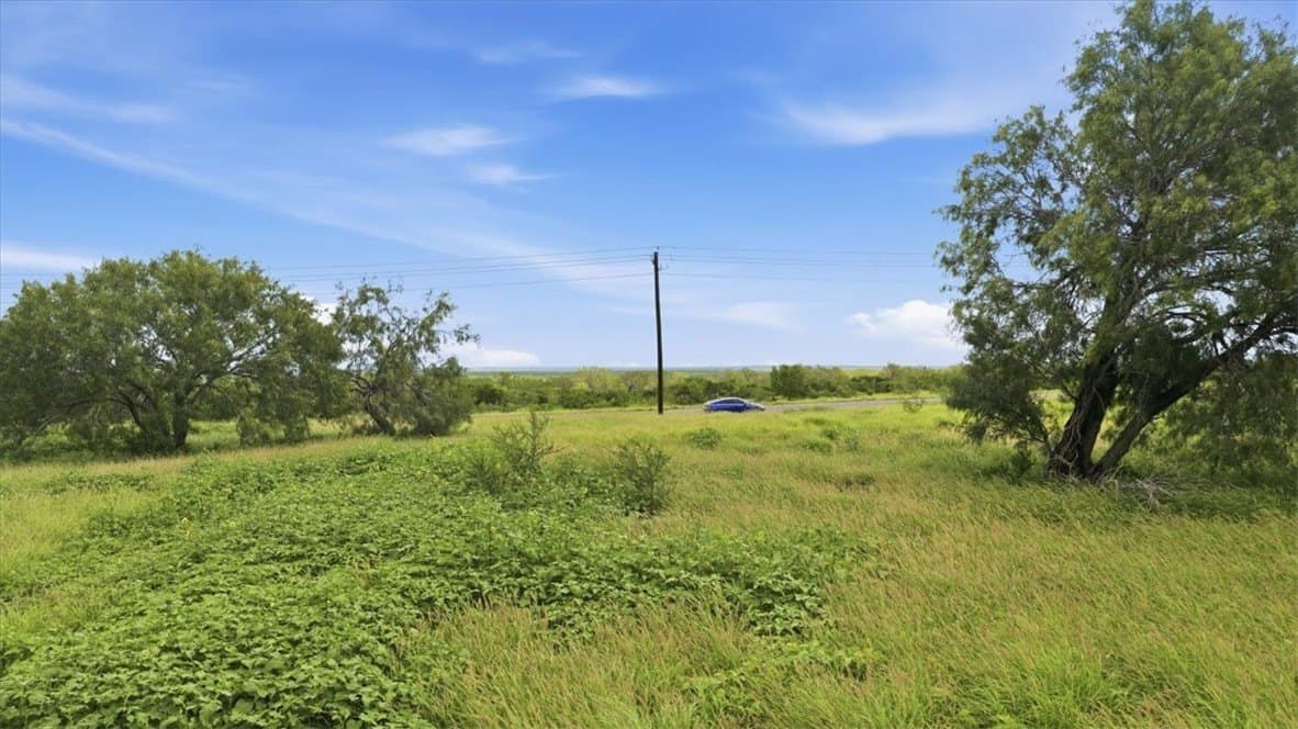 10 acres in Live Oak County gallery image 3
