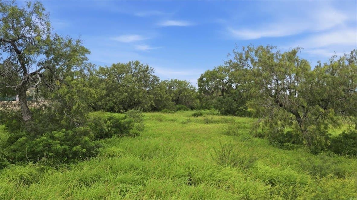 10 acres in Live Oak County gallery image 4