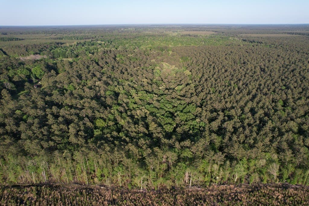 27.41 acres in Texas County gallery image 4