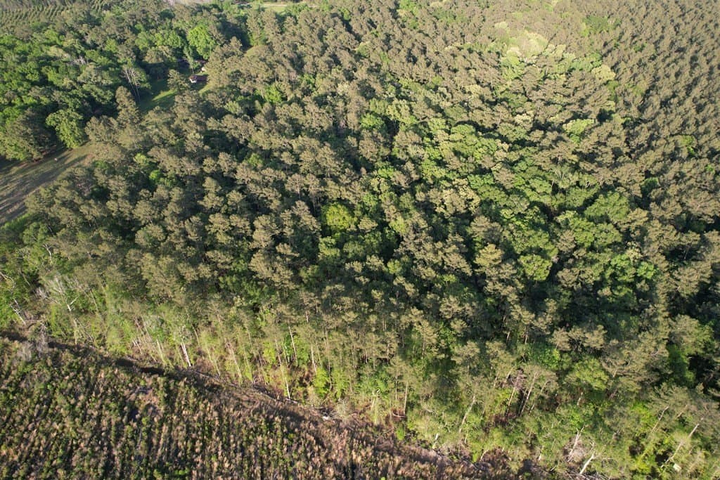 27.41 acres in Texas County gallery image 3