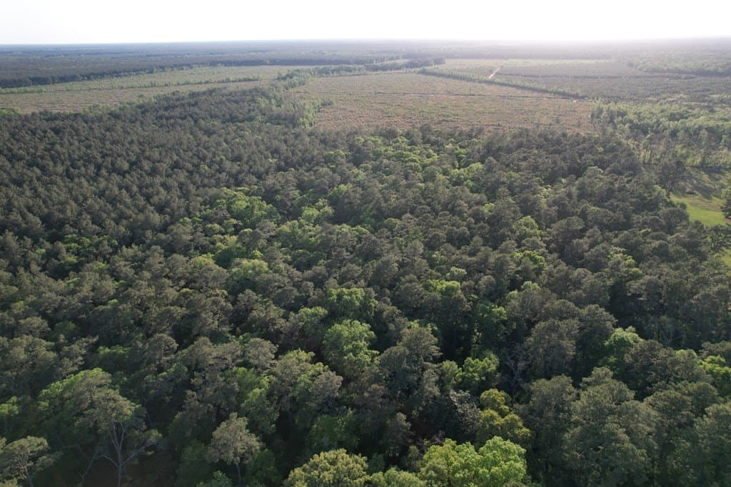 27.41 acres in Texas County gallery image 2