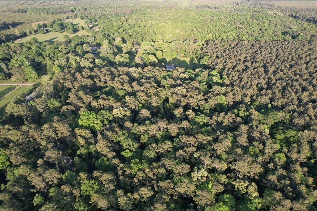 27.41 acres in Texas County featured view