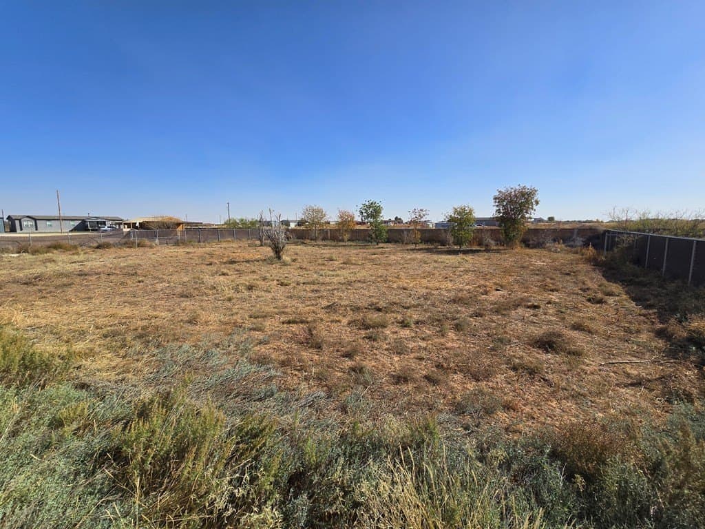 4.35 acres in Midland County - photo 10