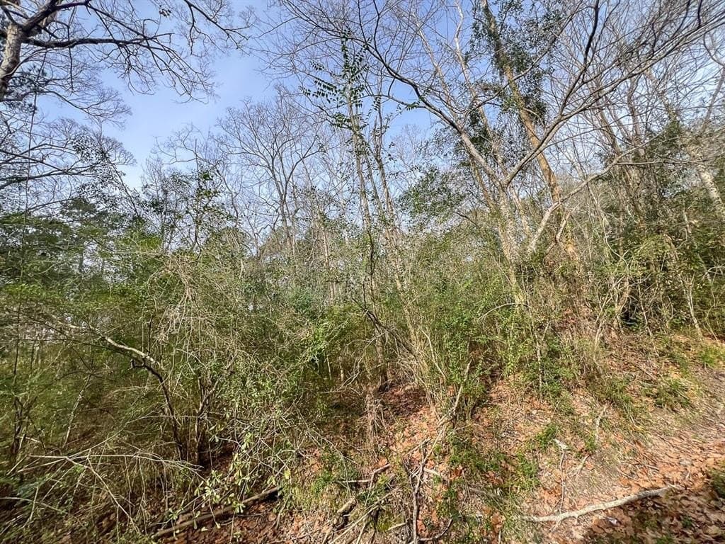 9 acres in Hardin County gallery image 4