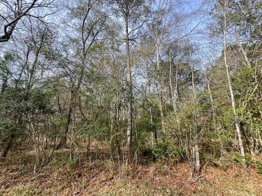 9 acres in Hardin County gallery image 3