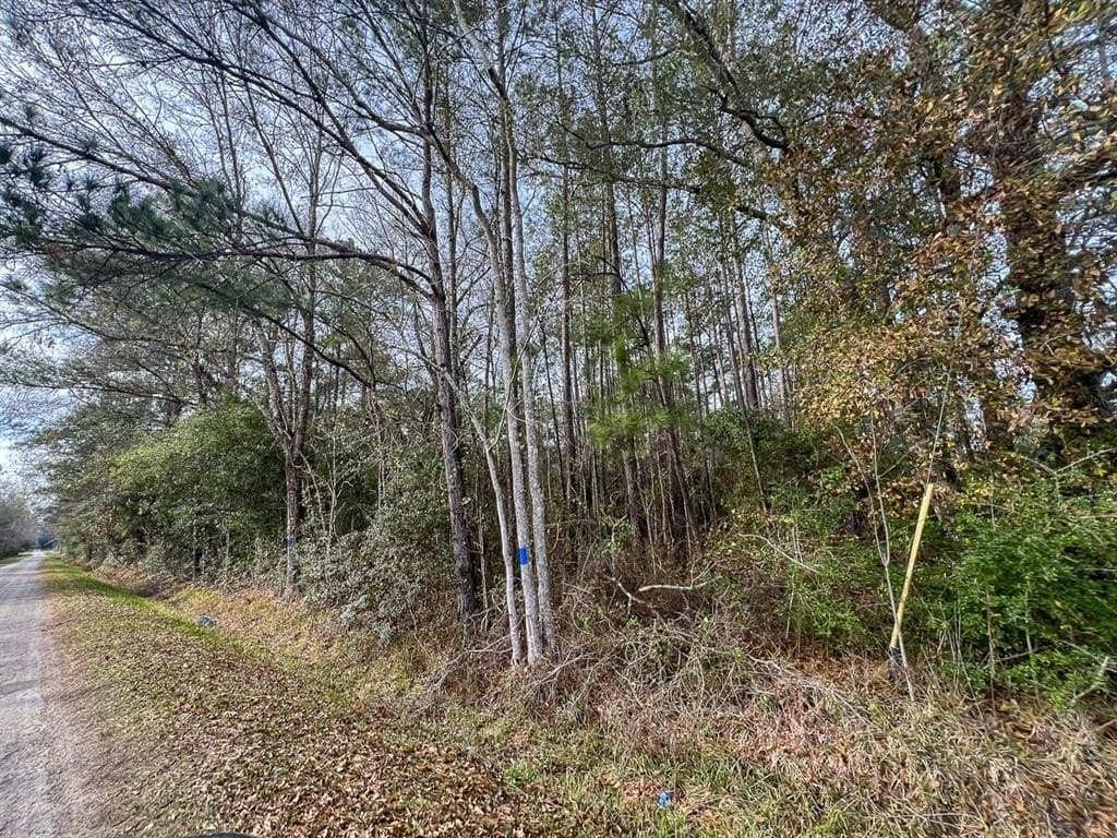 9 acres in Hardin County featured view