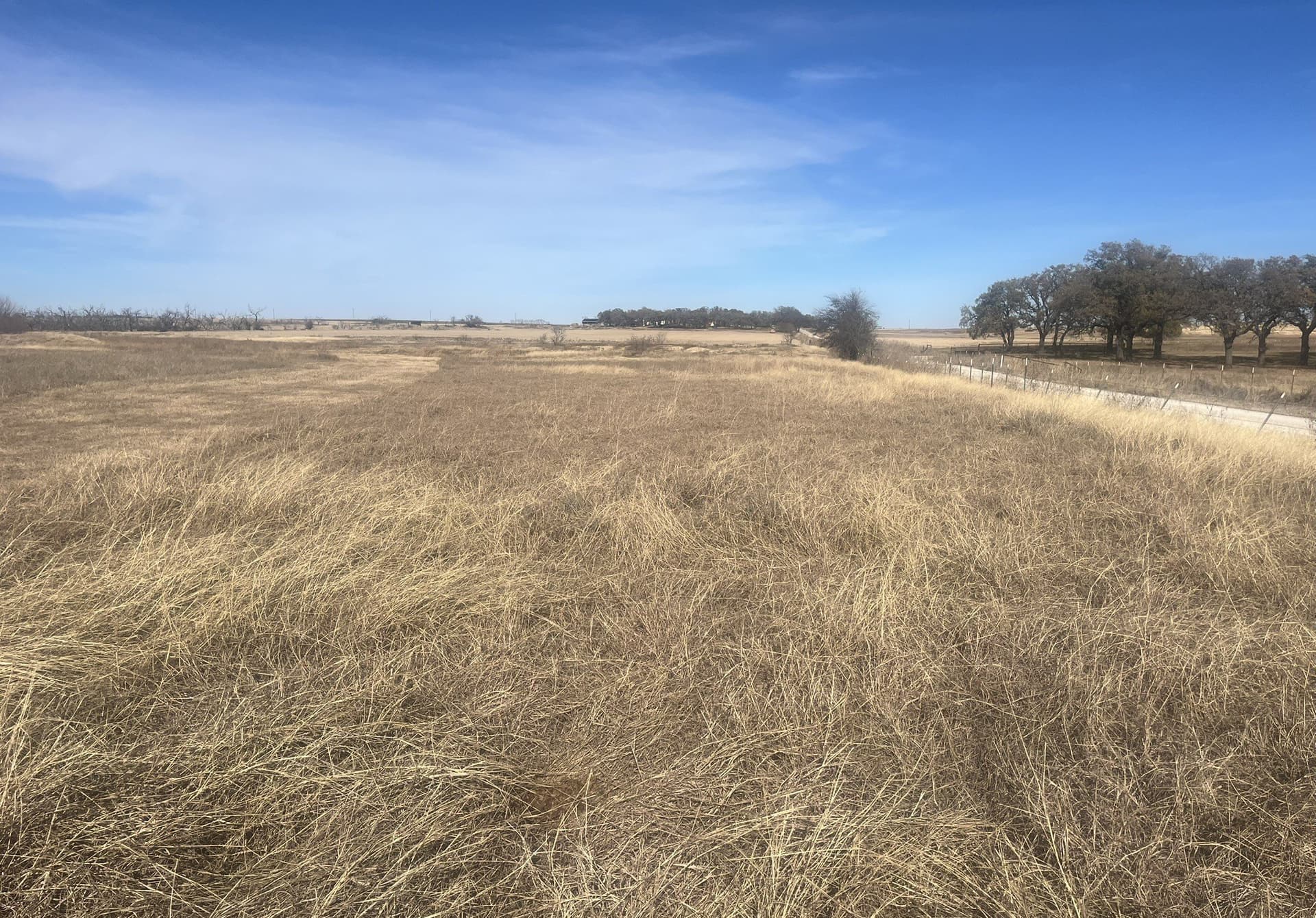 25 acres in Clay County - photo 16