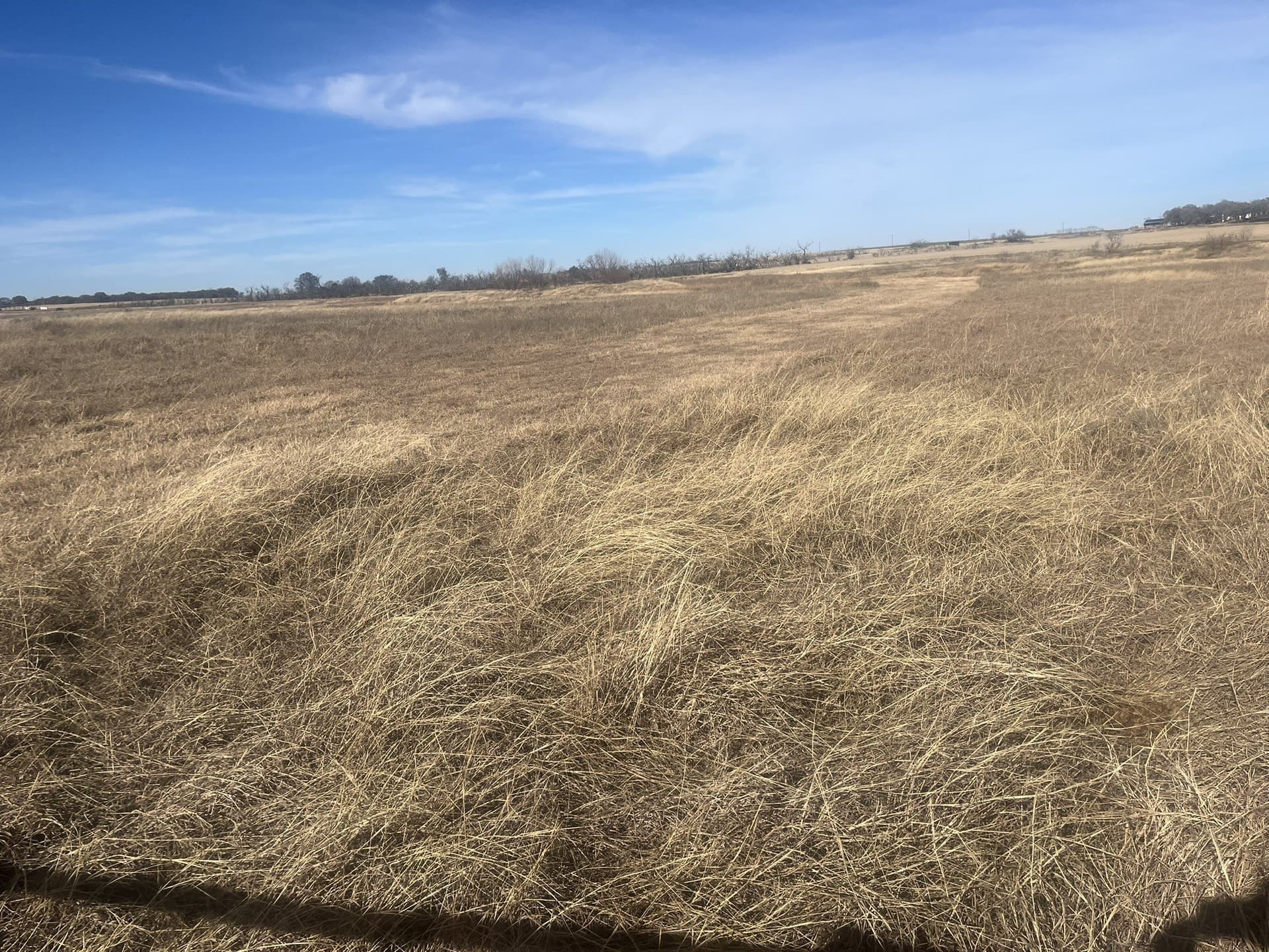 25 acres in Clay County - photo 15