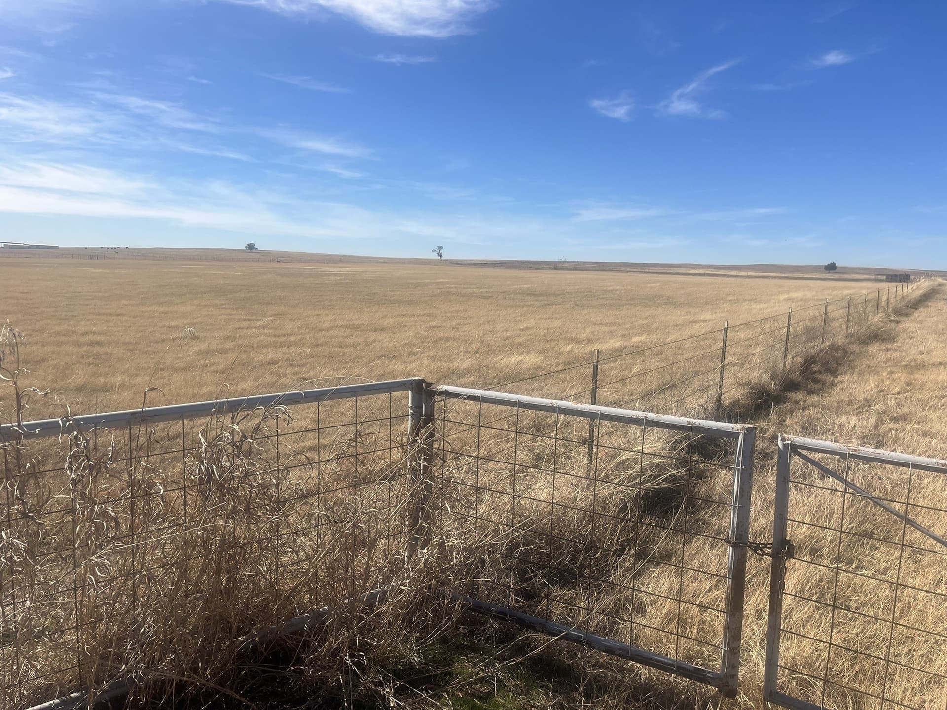 25 acres in Clay County - photo 9