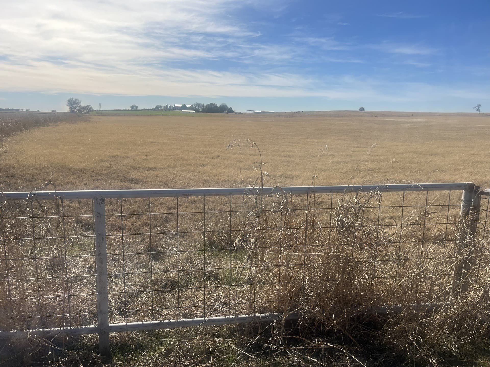 25 acres in Clay County - photo 8