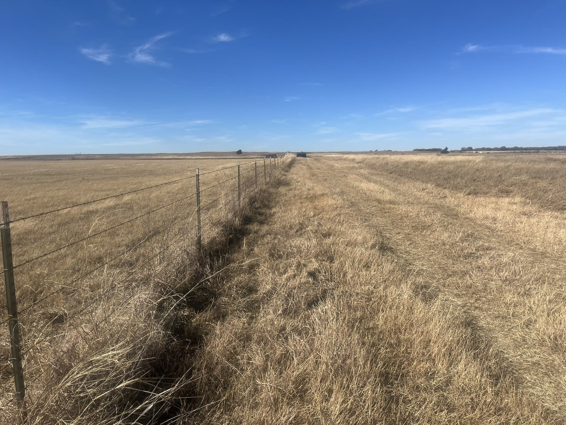 25 acres in Clay County - photo 13