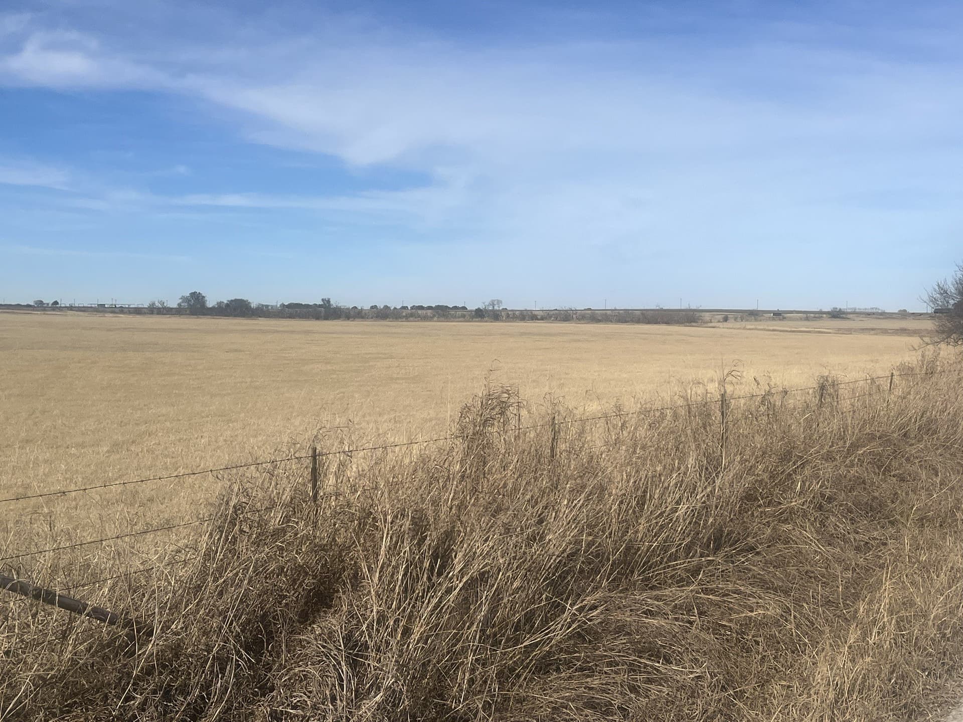 25 acres in Clay County - photo 21
