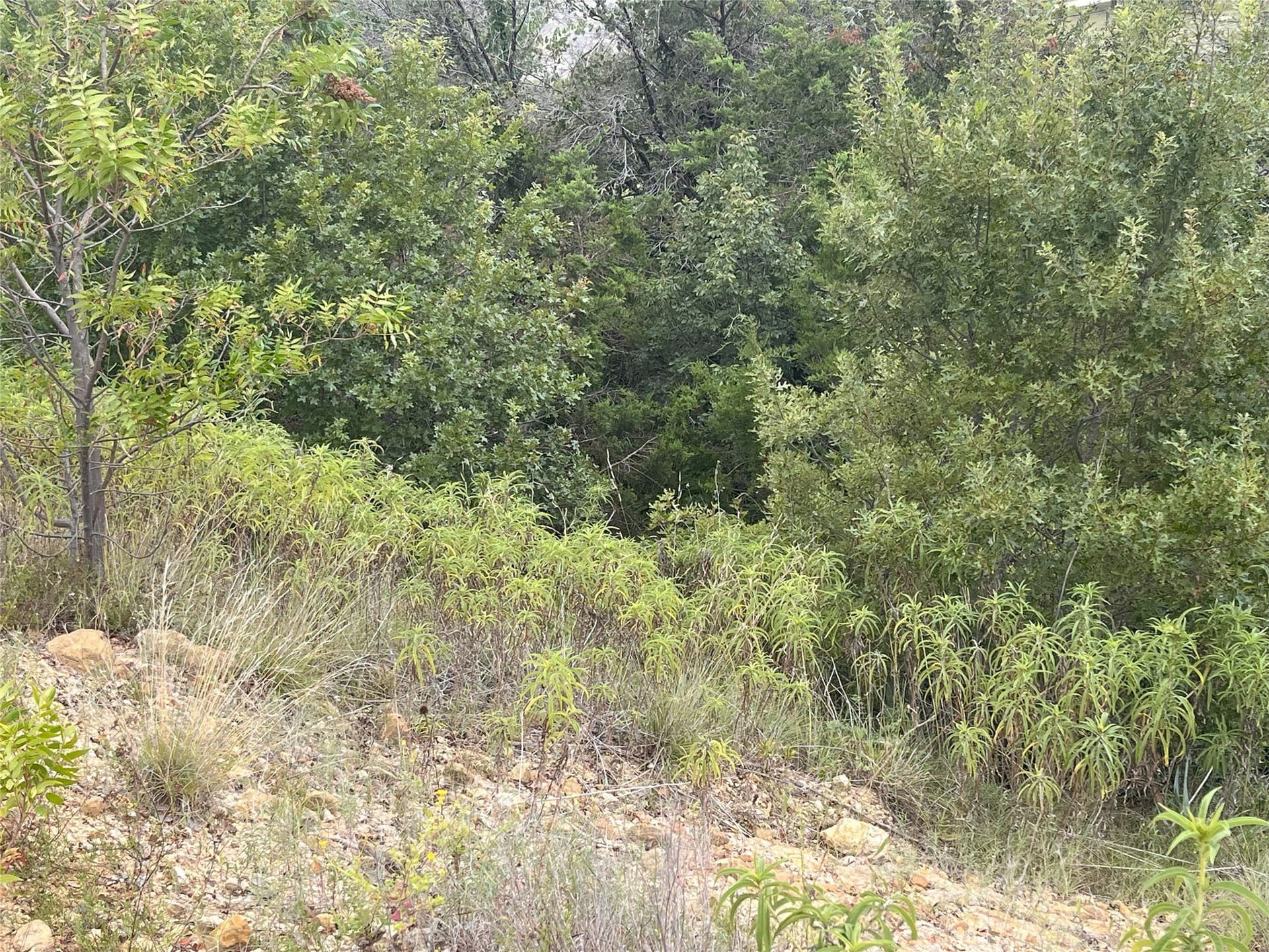 2.01 acres in Parker County - photo 14