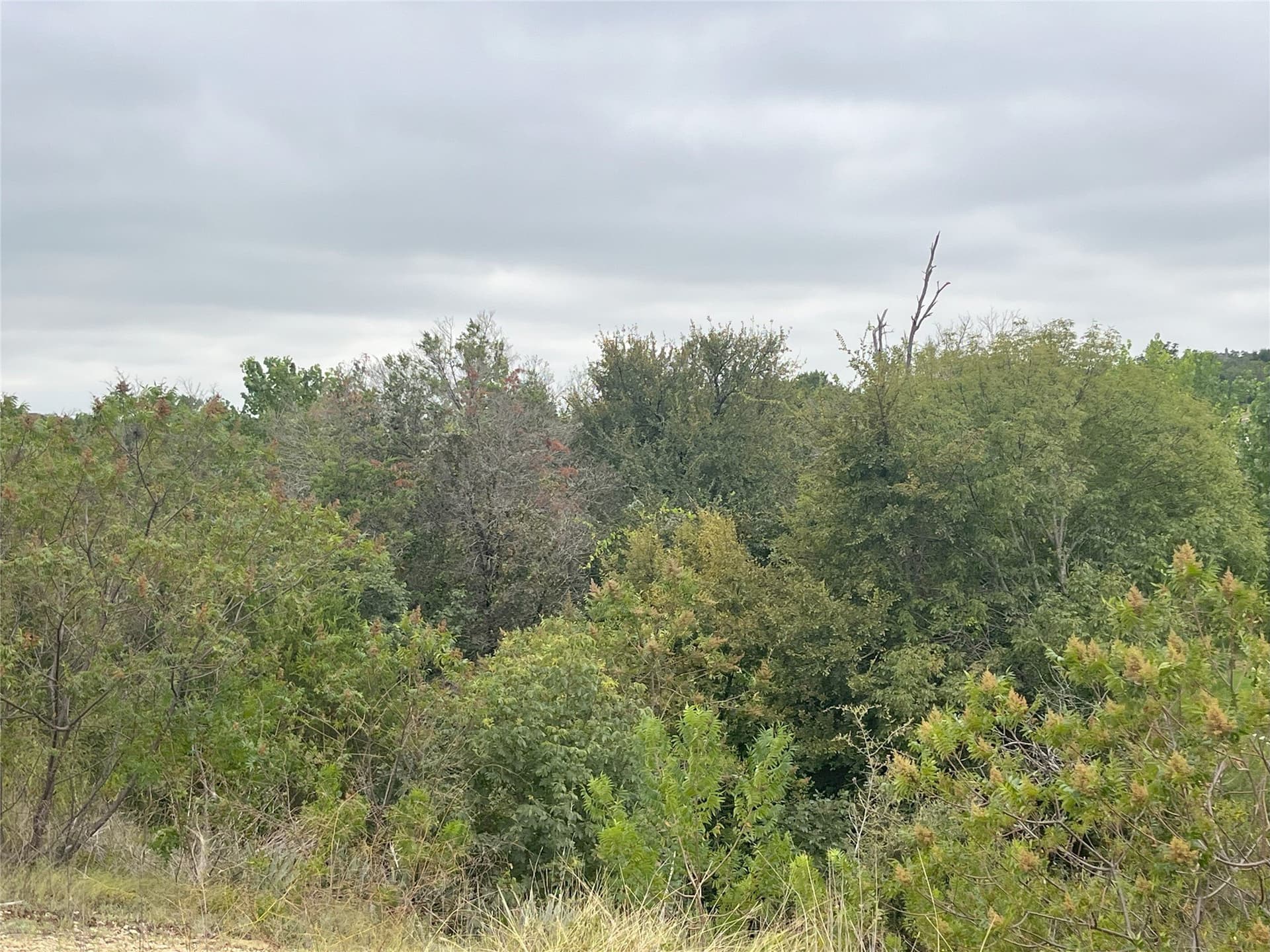 2.01 acres in Parker County - photo 15