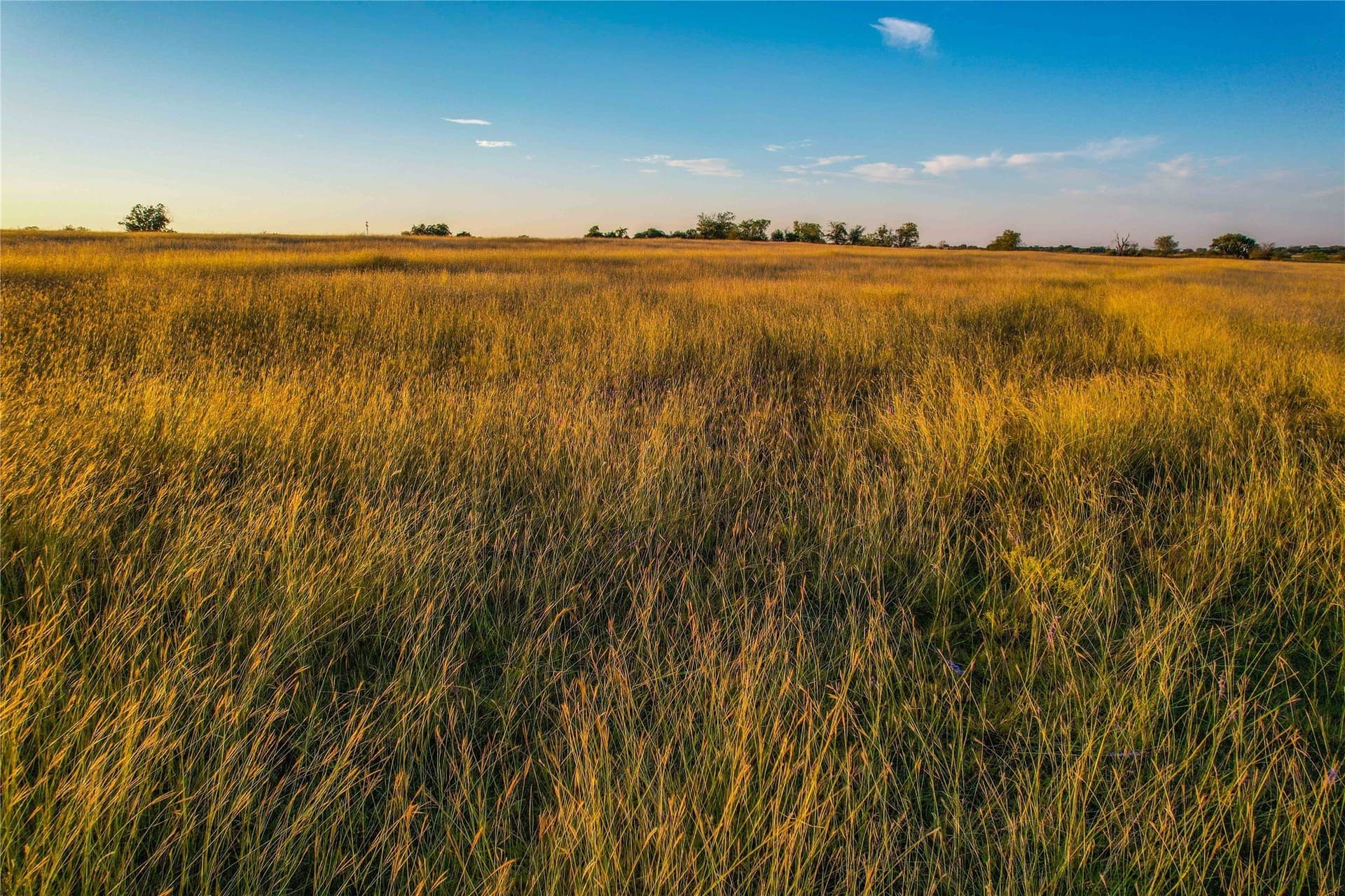 60 acres in Coryell County - photo 16