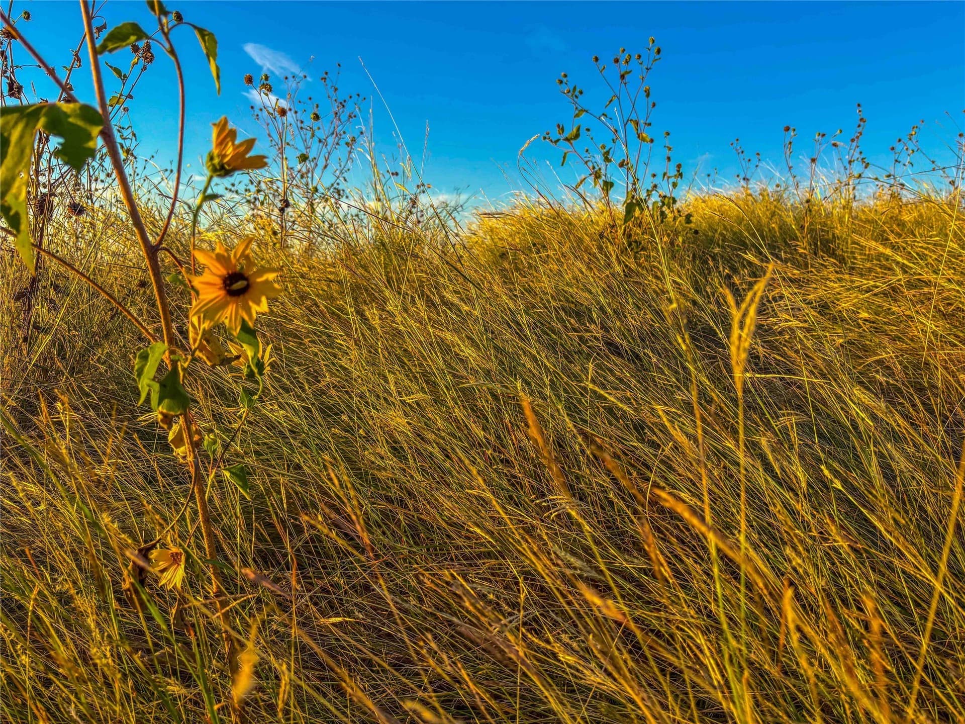 60 acres in Coryell County - photo 14