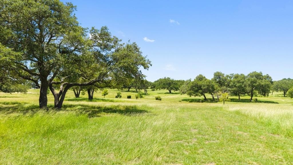 25 acres in Blanco County - photo 41