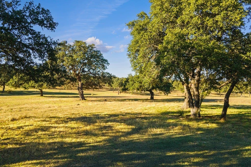 25 acres in Blanco County - photo 36