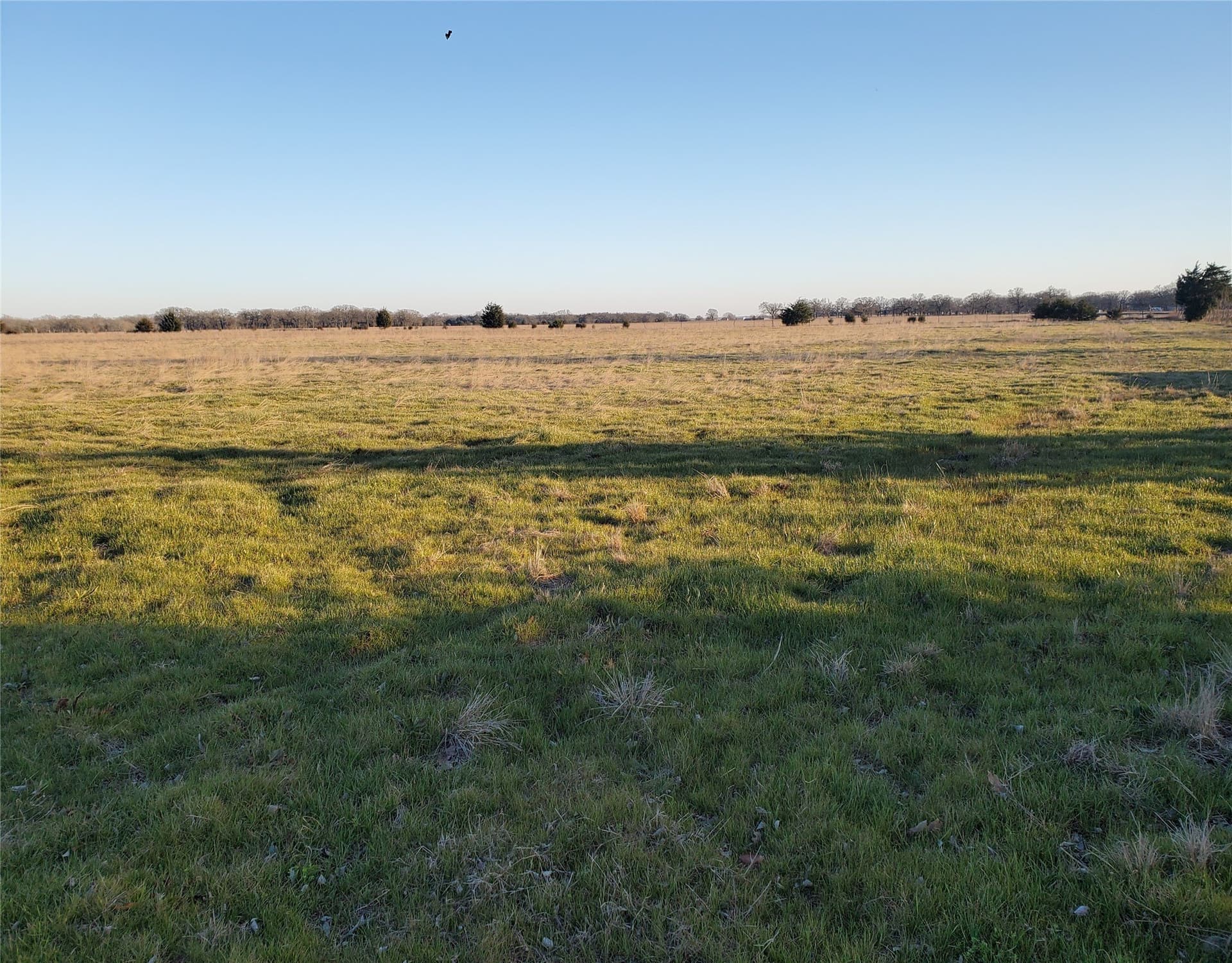 27 acres in Fannin County - photo 9