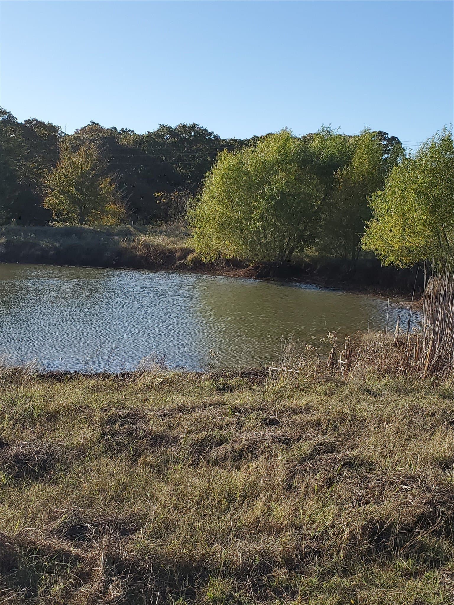 27 acres in Fannin County gallery image 3