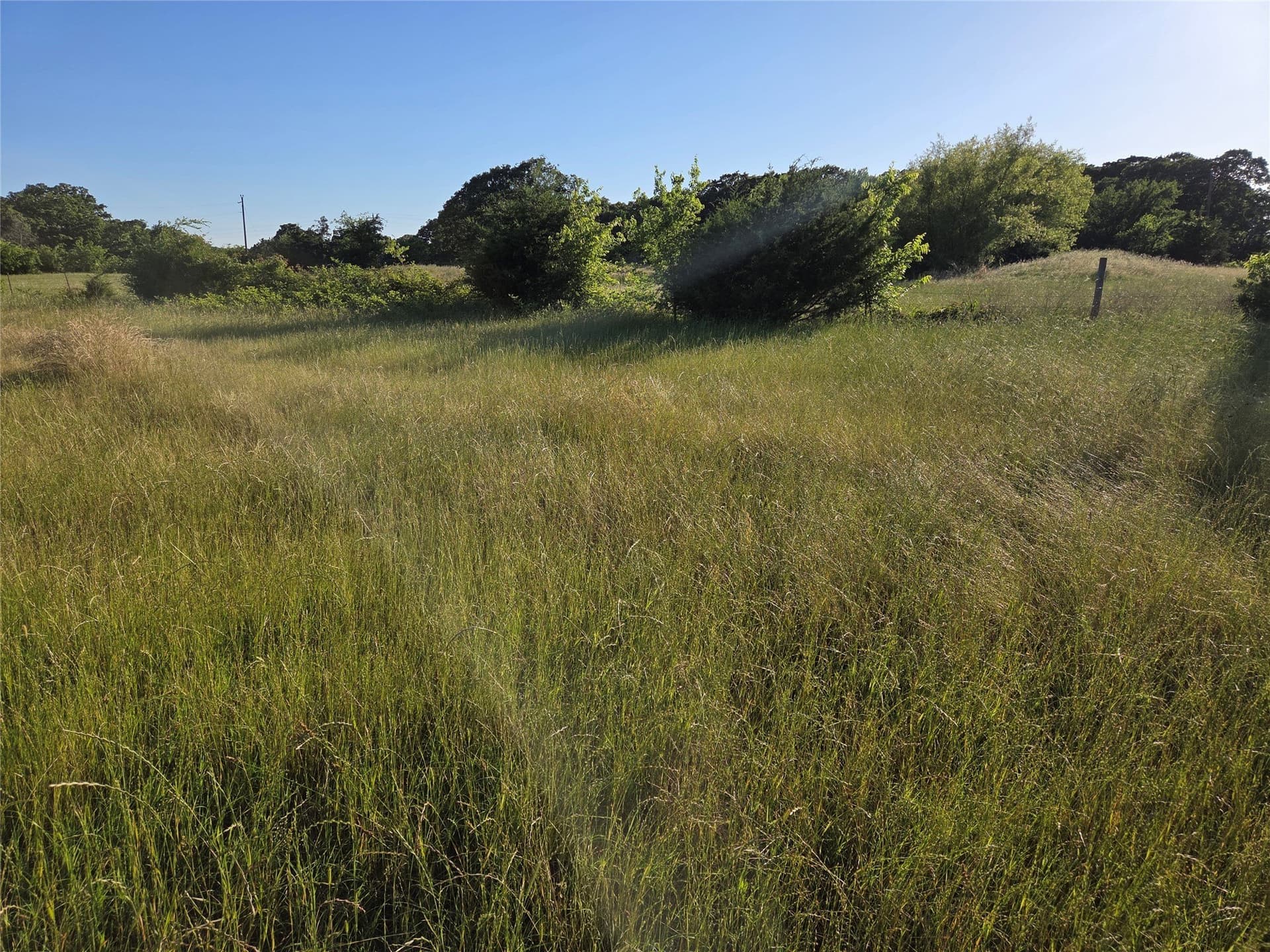 27 acres in Fannin County - photo 7