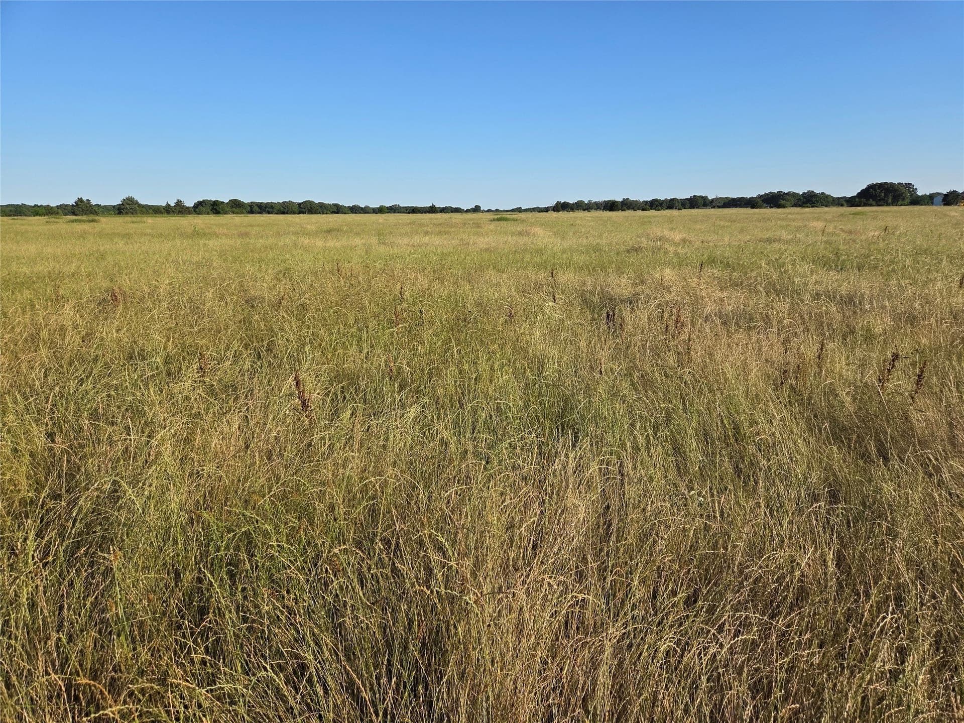 27 acres in Fannin County - photo 8