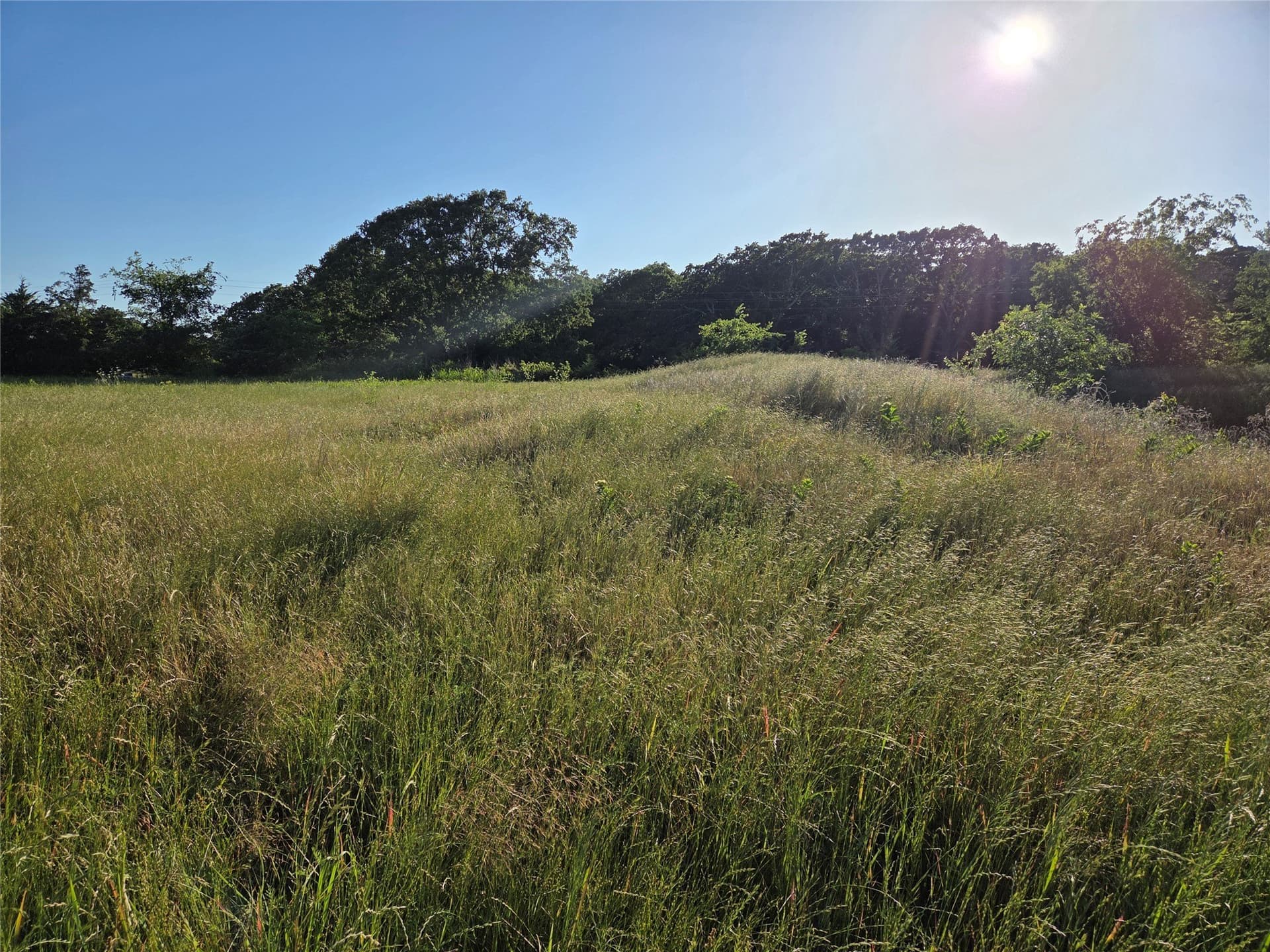 27 acres in Fannin County featured view