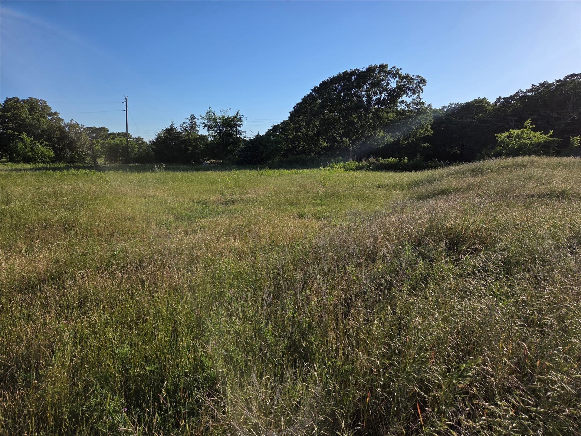 27 acres in Fannin County - photo 6