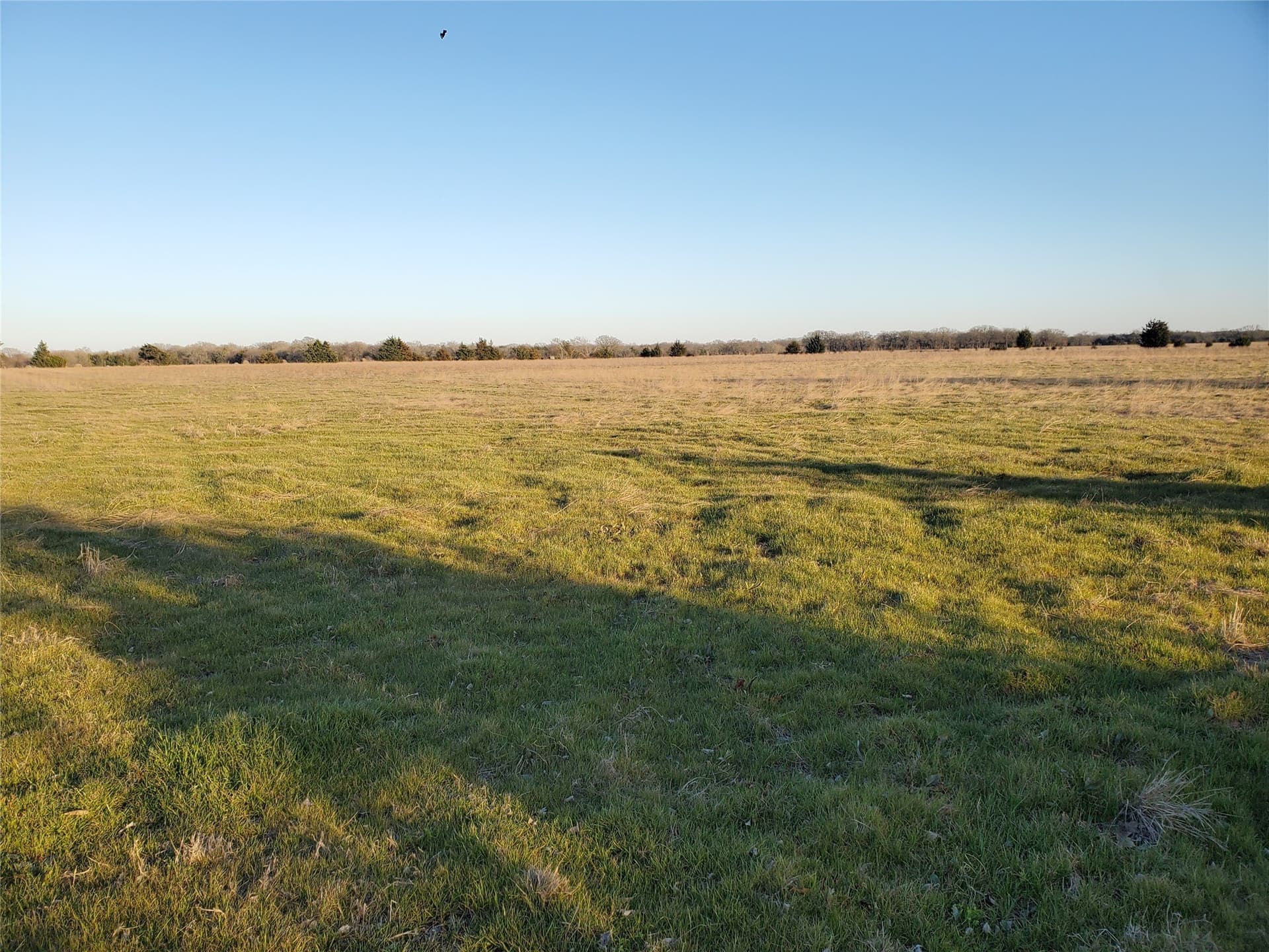 27 acres in Fannin County - photo 10