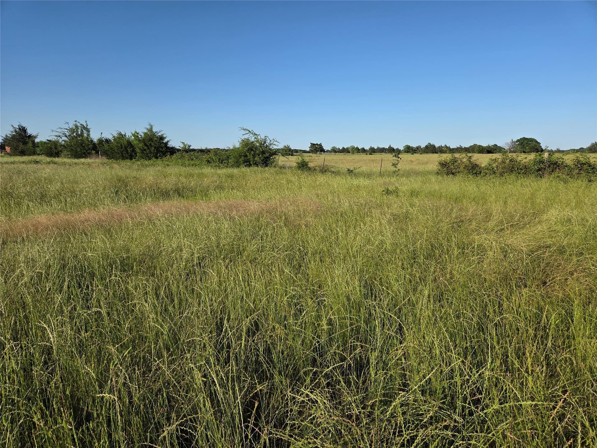 27 acres in Fannin County gallery image 4
