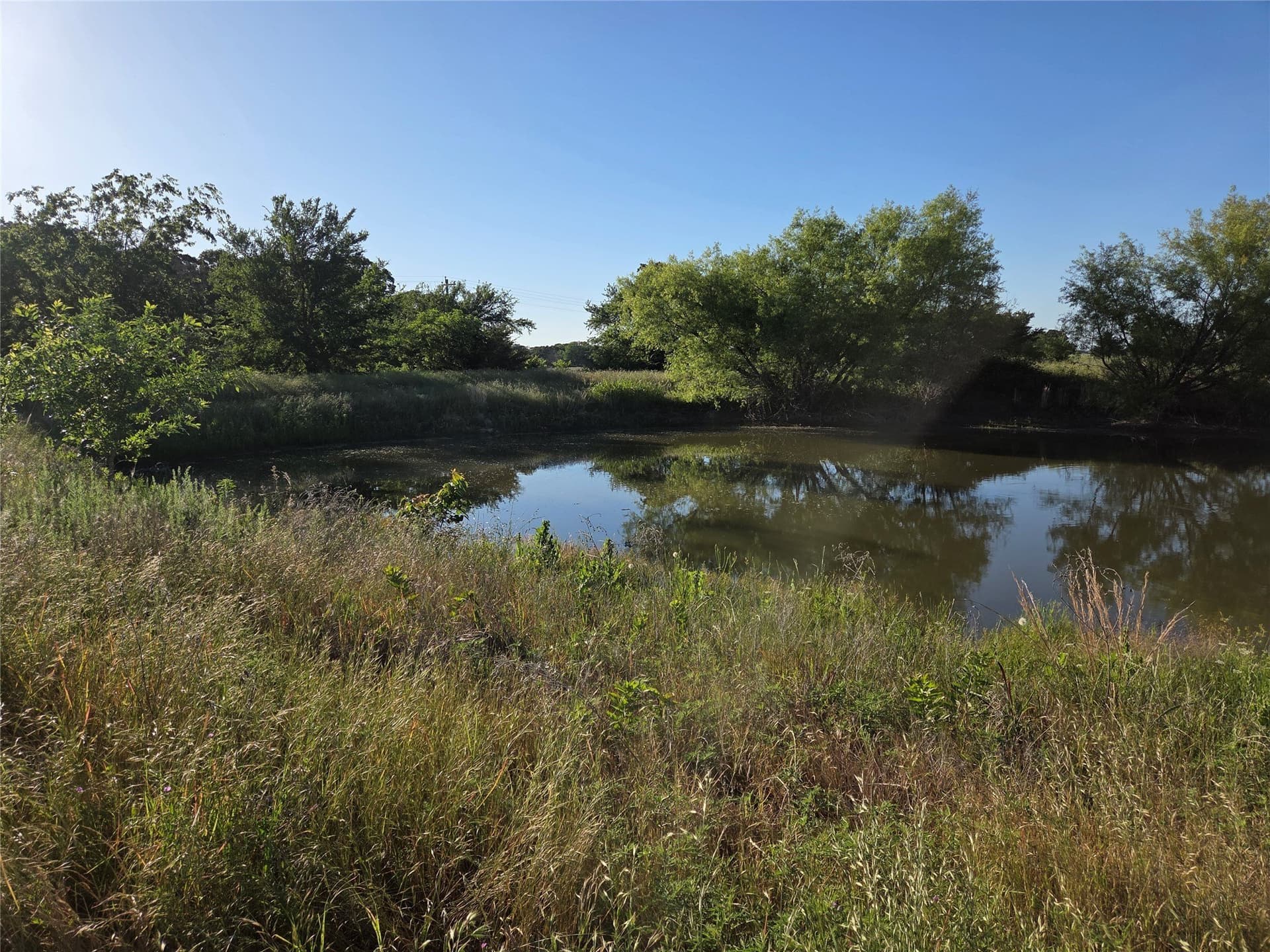 27 acres in Fannin County gallery image 2