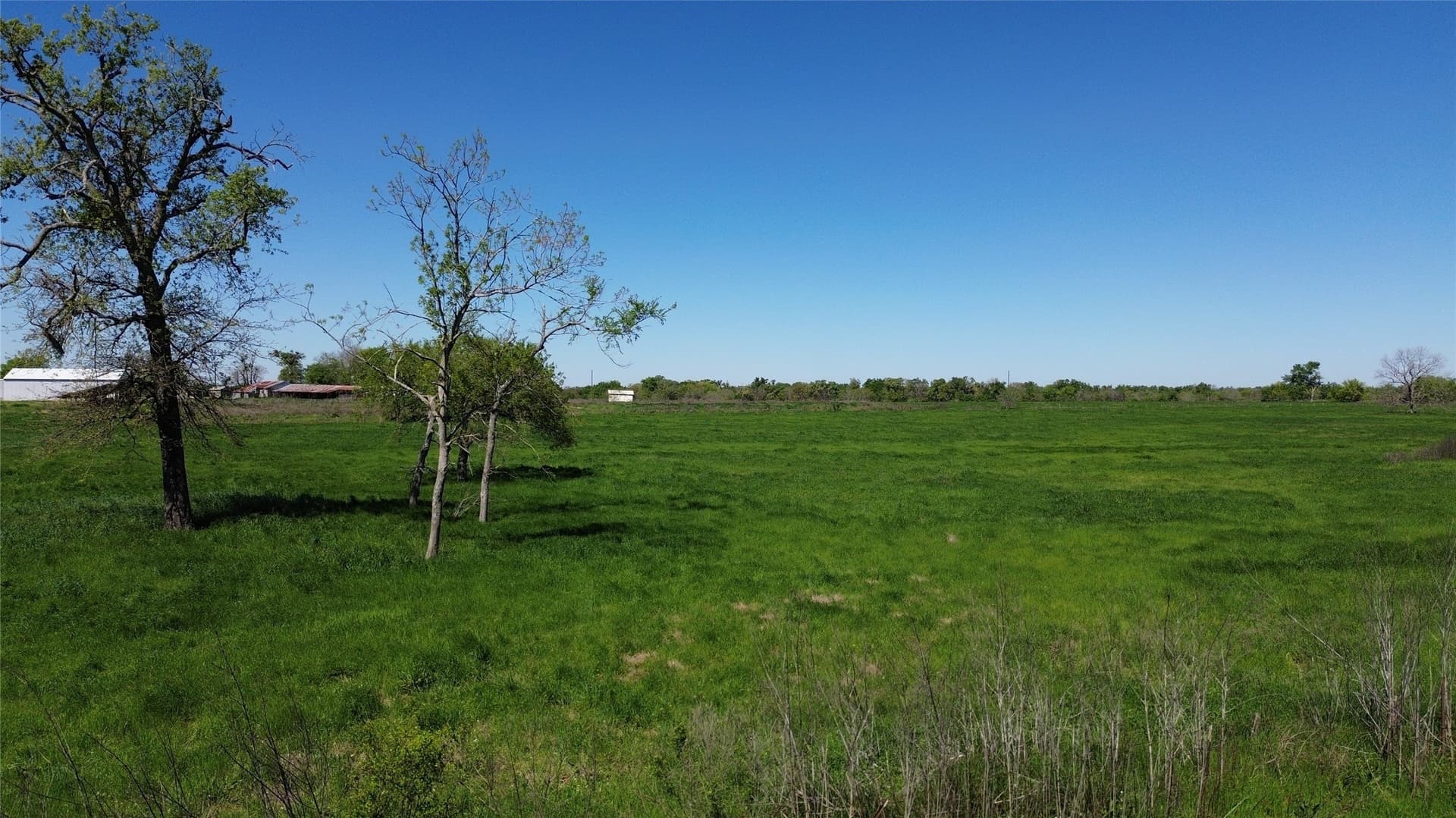 4.98 acres in Rains County - photo 2