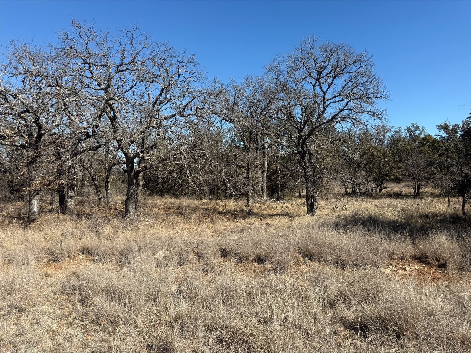 0.37 acres in Brown County - photo 10