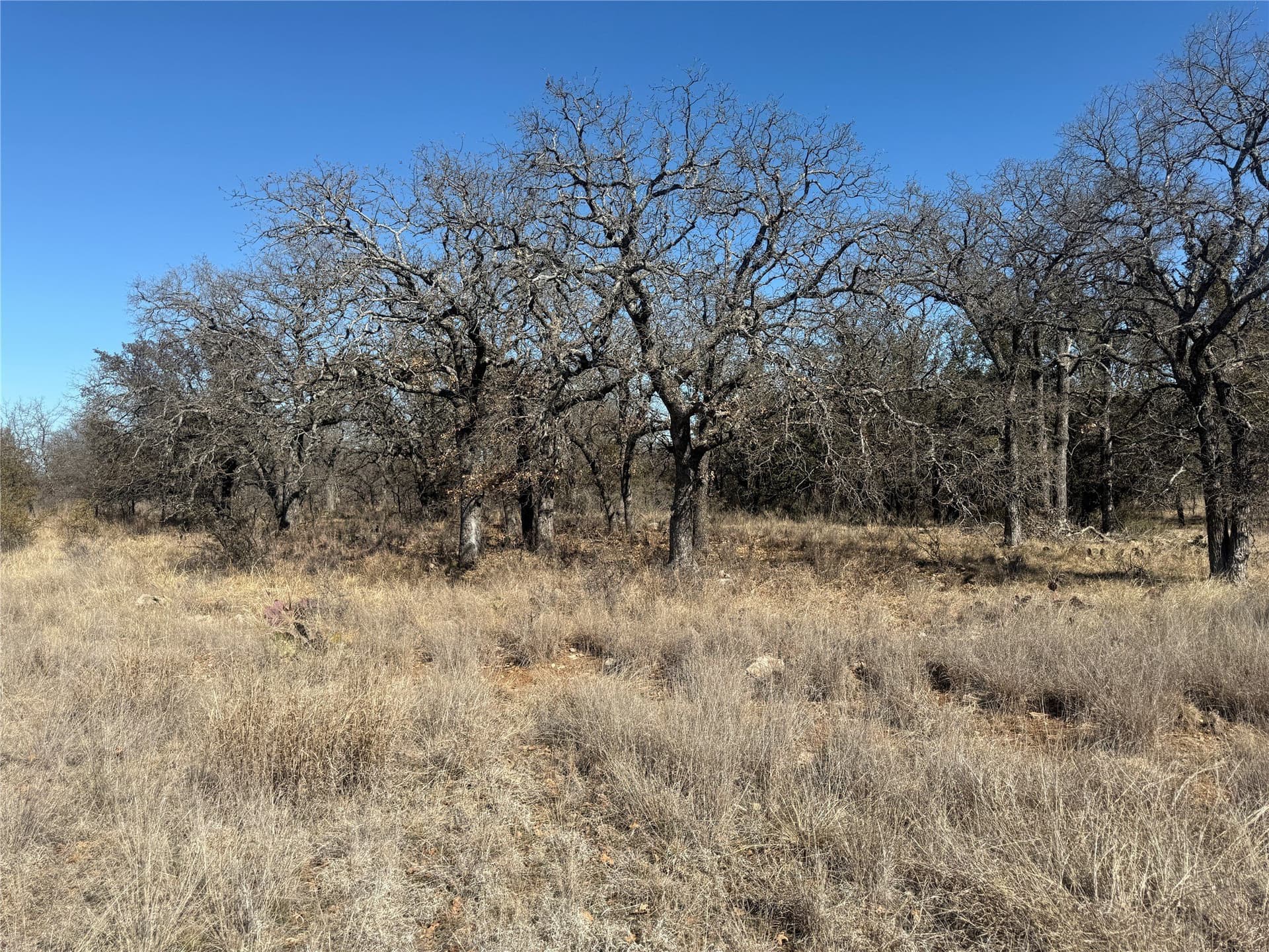 0.37 acres in Brown County - photo 9