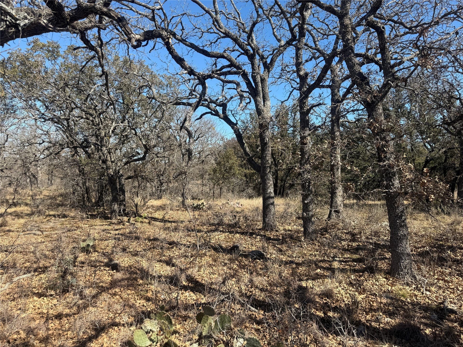 0.37 acres in Brown County featured view