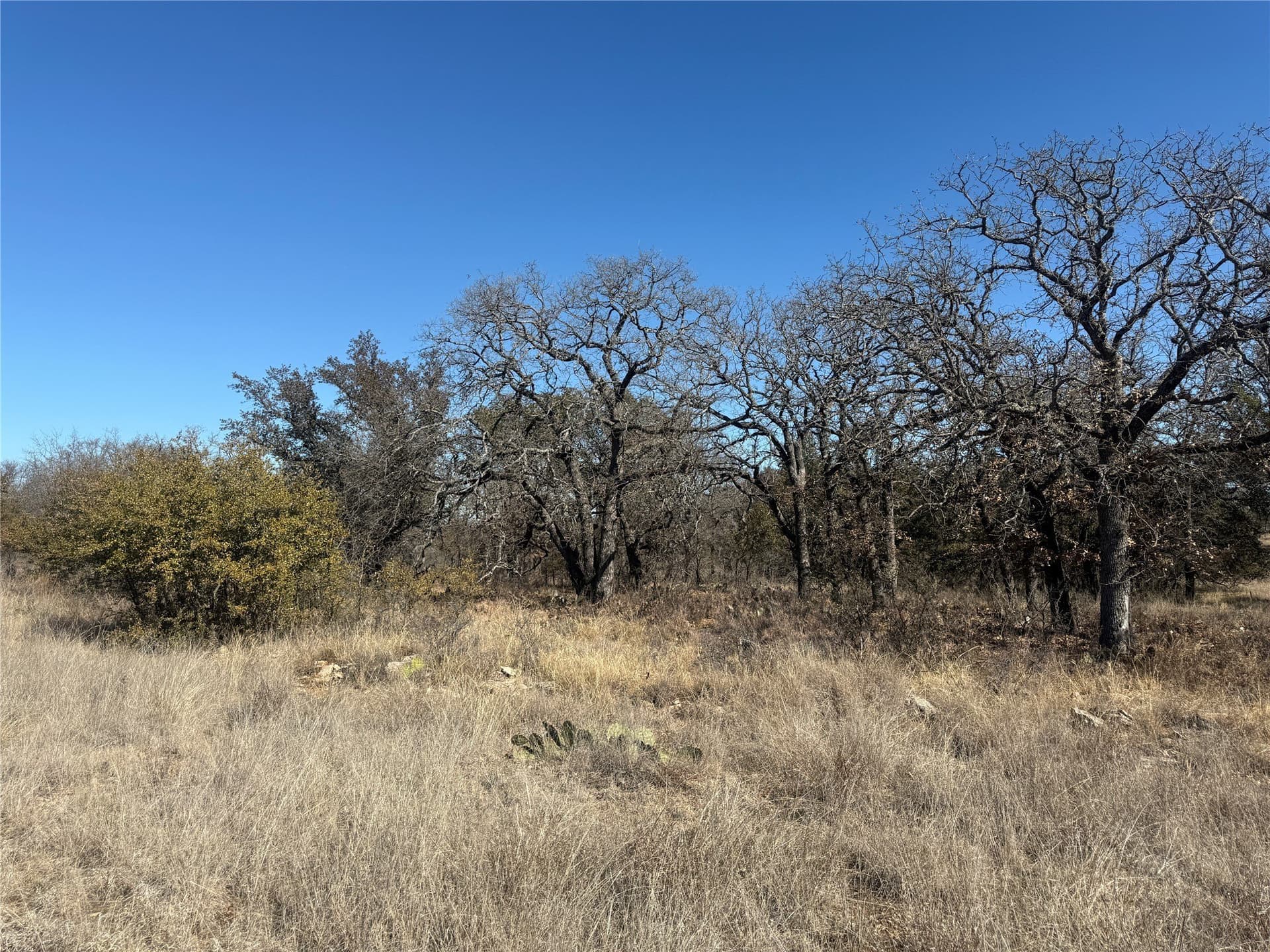 0.37 acres in Brown County gallery image 3