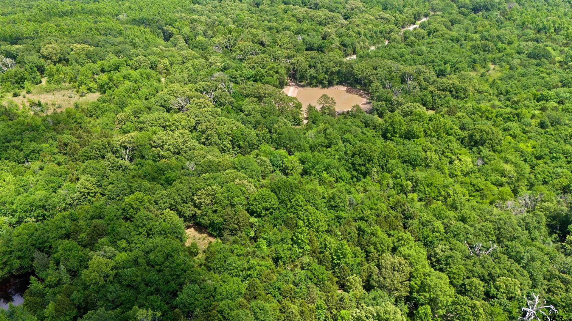 10.01 acres in Van Zandt County - photo 5