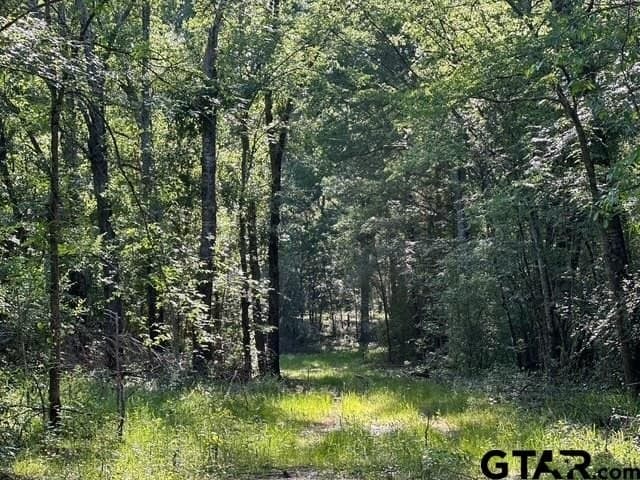 10.01 acres in Van Zandt County - photo 17
