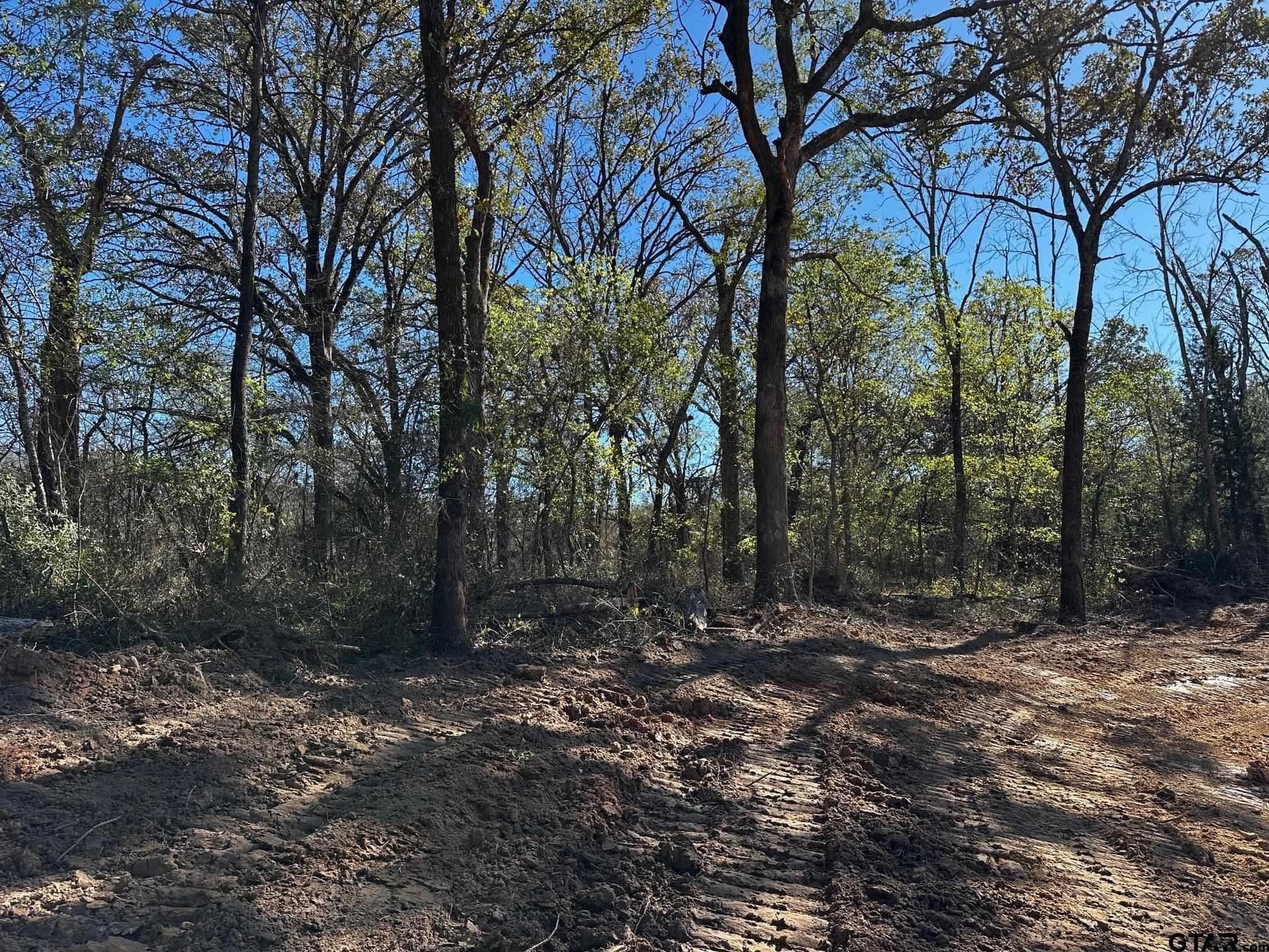 10.01 acres in Van Zandt County - photo 20