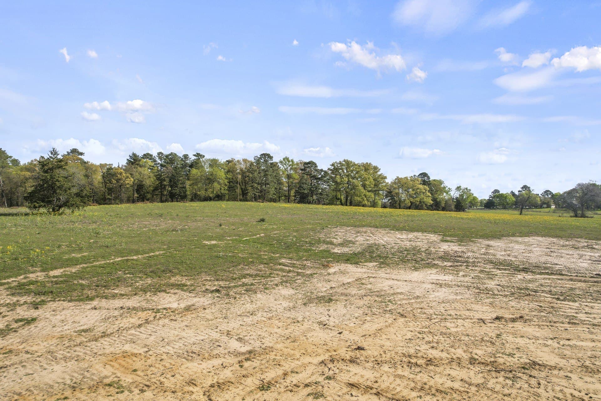 44.47 acres in Titus County featured view