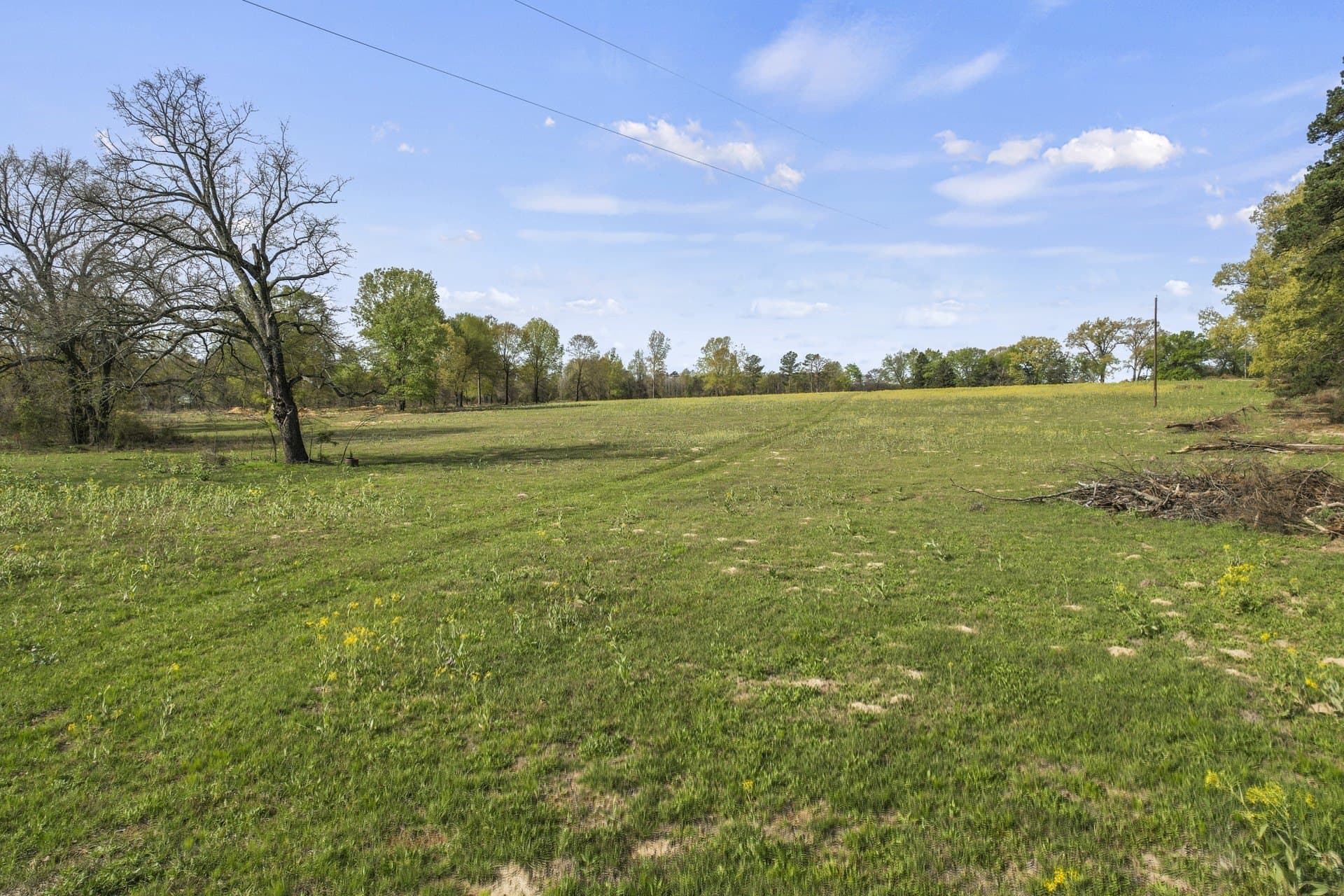 44.47 acres in Titus County