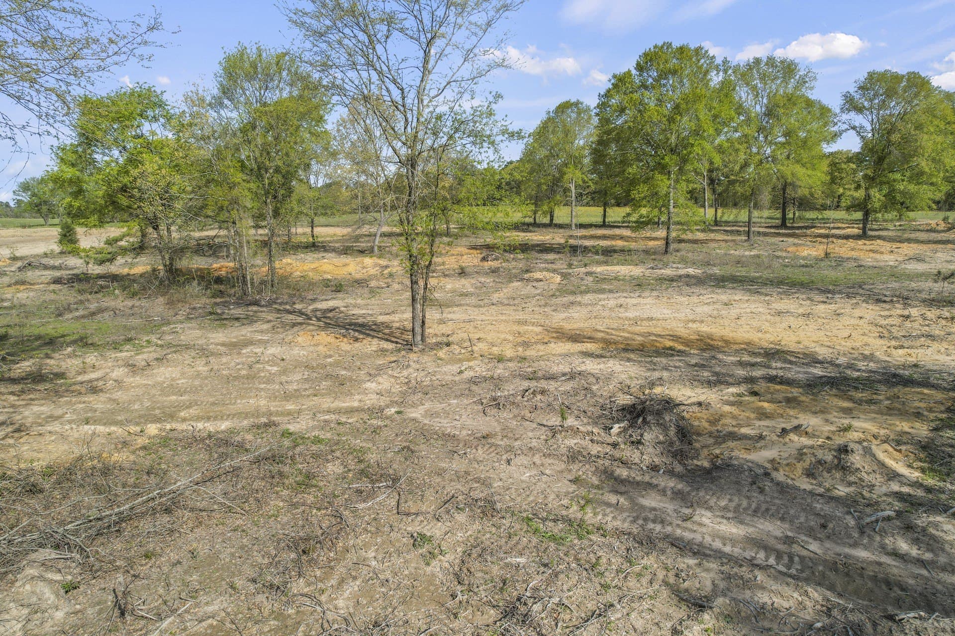 44.47 acres in Titus County gallery image 4