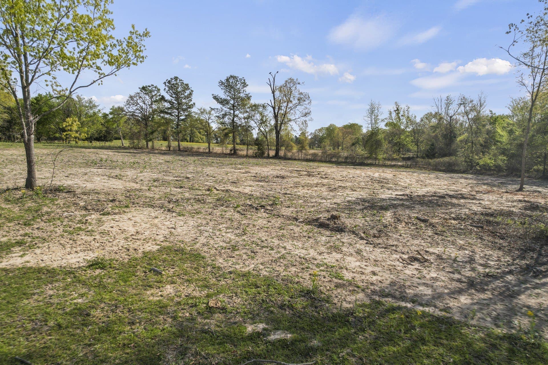 44.47 acres in Titus County gallery image 3