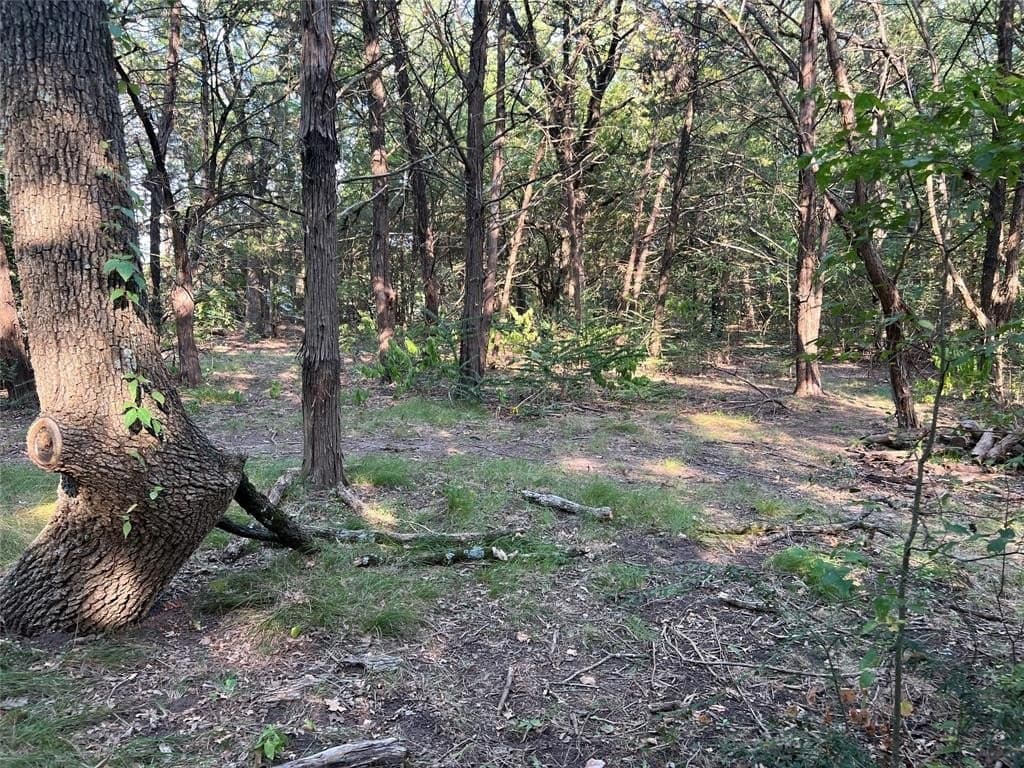 1.32 acres in Kaufman County gallery image 4