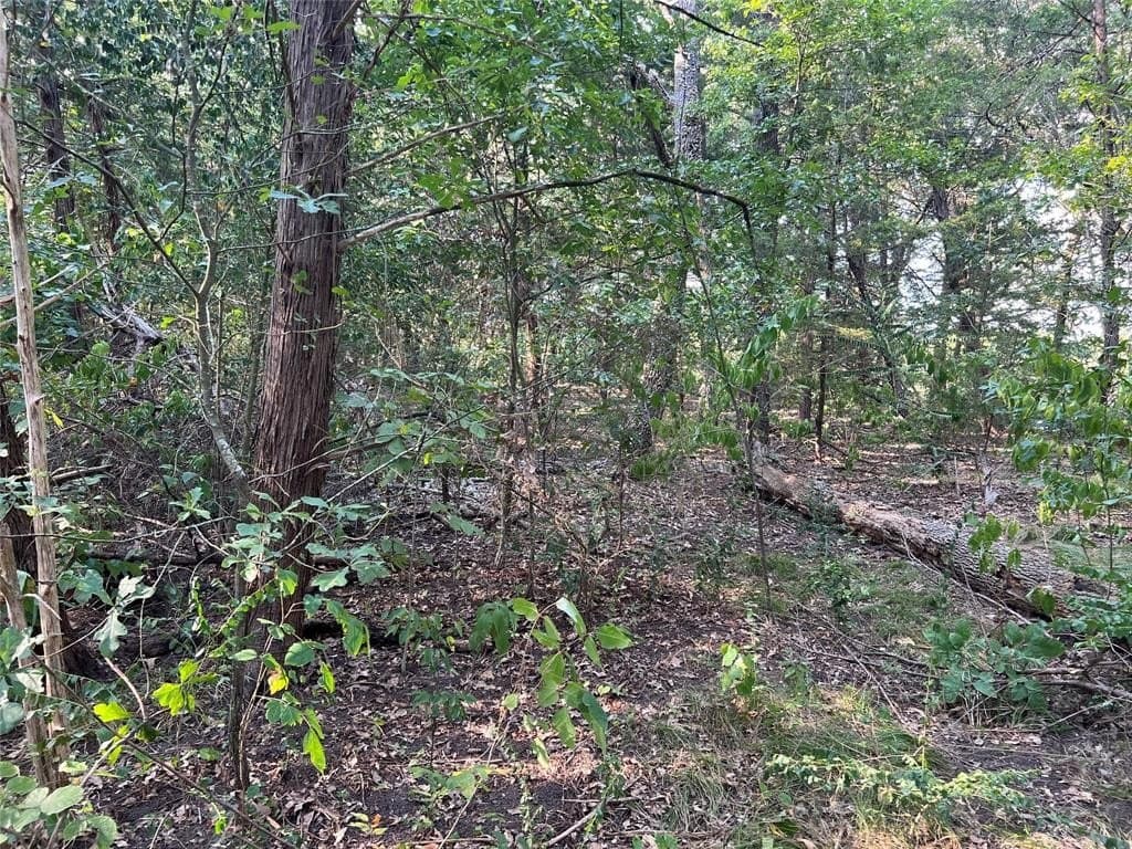 1.32 acres in Kaufman County gallery image 2
