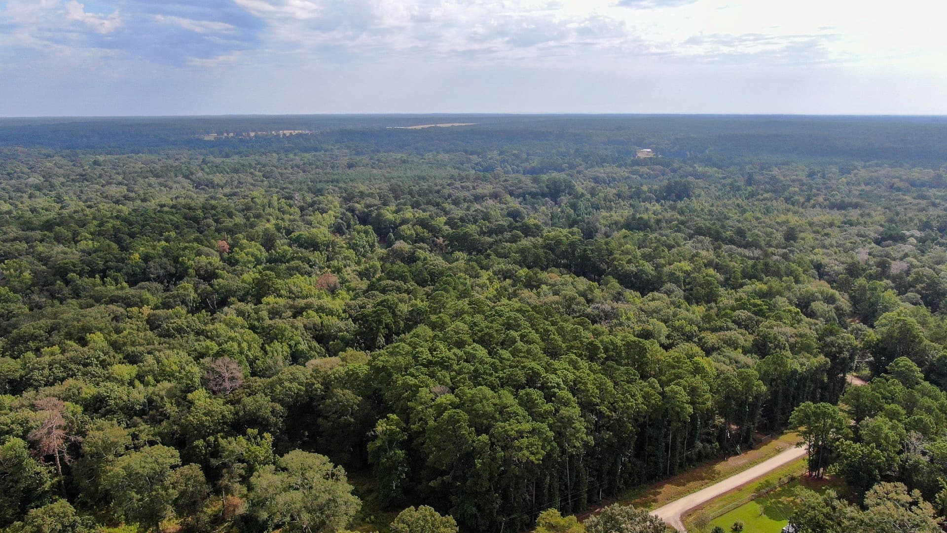 2 acres in San Jacinto County - photo 5