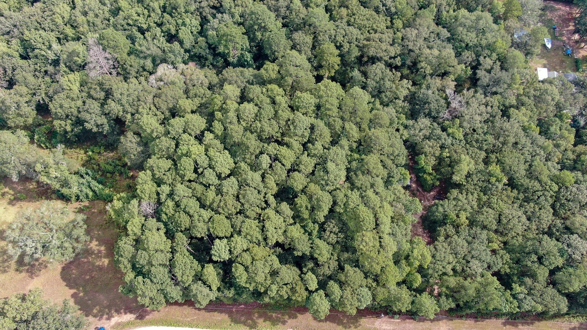 2 acres in San Jacinto County - photo 14