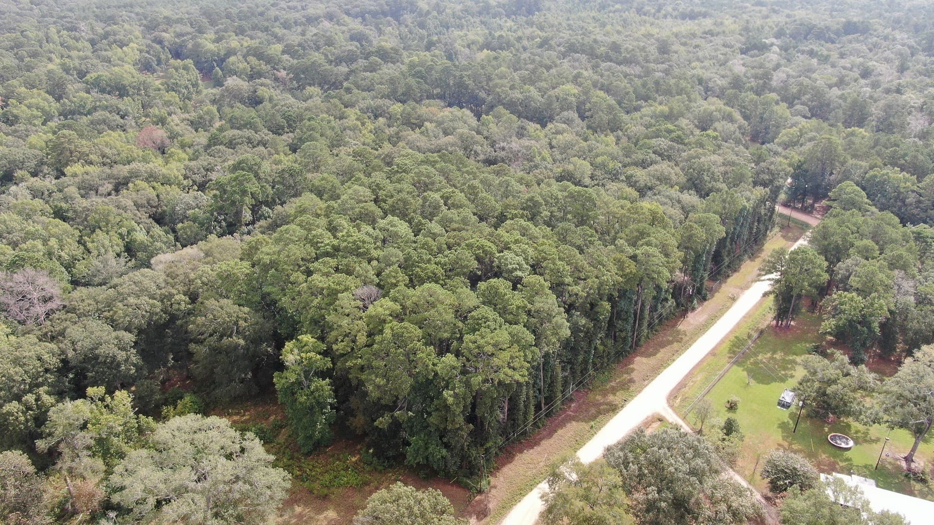 2 acres in San Jacinto County - photo 22