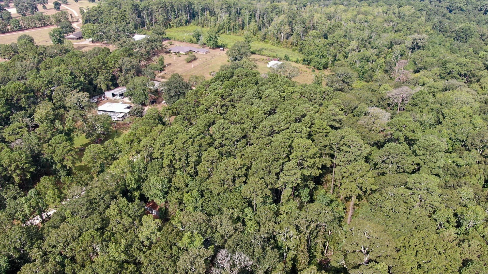 2 acres in San Jacinto County - photo 18