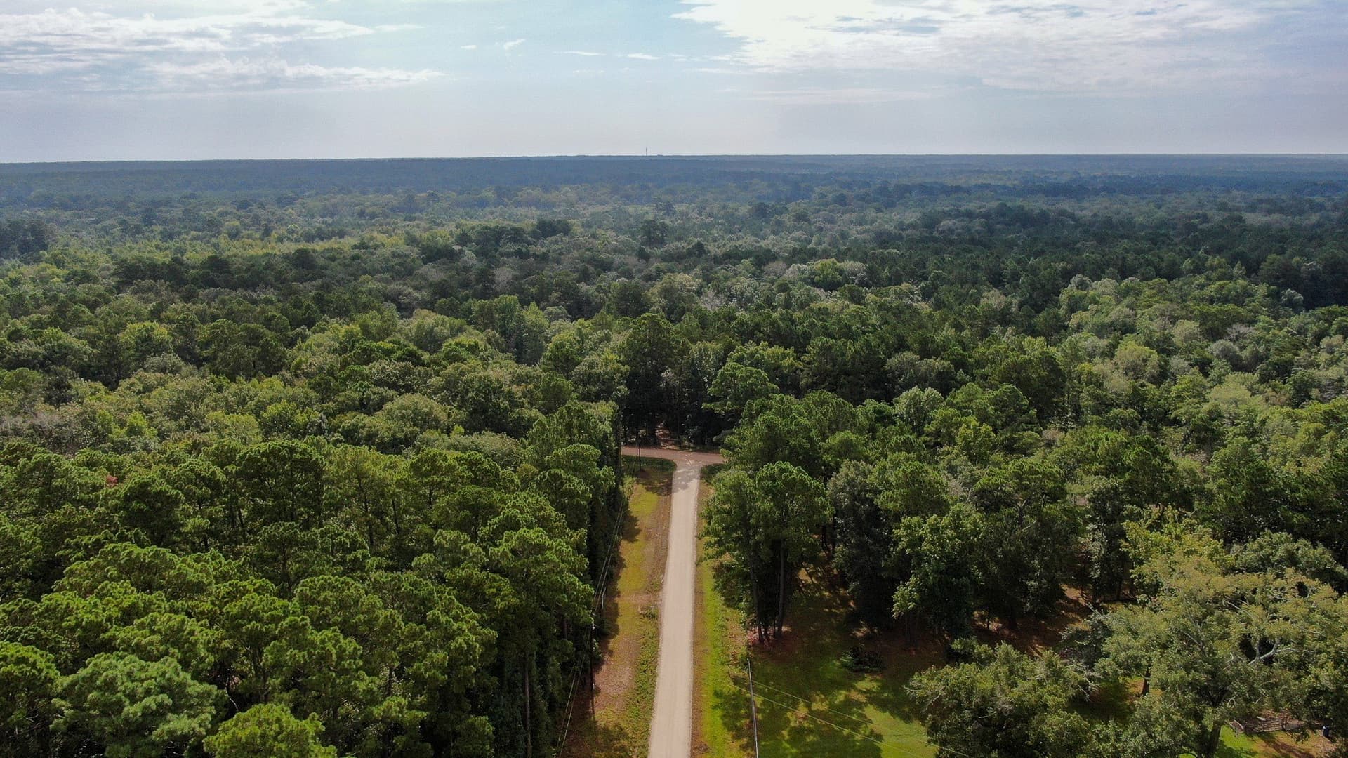 2 acres in San Jacinto County - photo 3